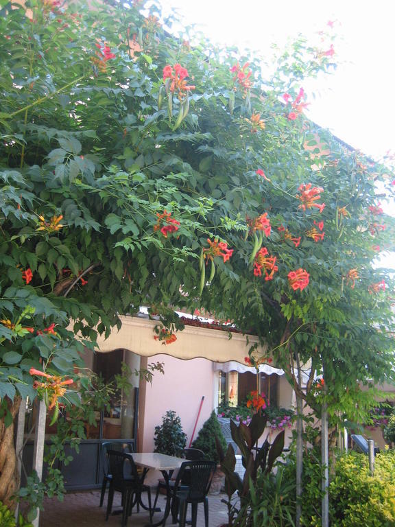 Albergo Ristorante Sterlina Grizzana Oda fotoğraf